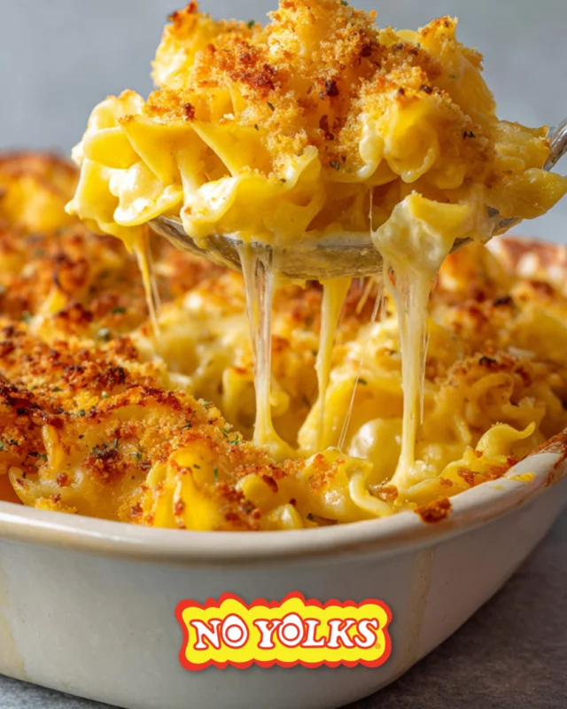 Celebrate National Mac and Cheese day with a bowl full of No Yolks Noodles and cheesy goodness. 🧀 Link in bio for recipe details.