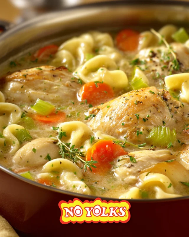 Nothing takes the chill away like a steamy bowl of chicken and No Yolks Dumplings. This dish is pure winter comfort. 🍲❄️ Link in bio for recipe details.